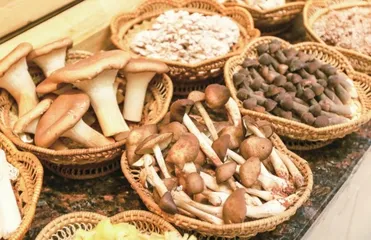 野生菌备受推崇，这些毒菌鉴别方法靠谱吗