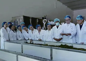 山西省茶叶学会:深耕茶行业 助力大健康产业发展3