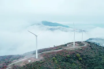 去浙南,赴一场山海之约1
