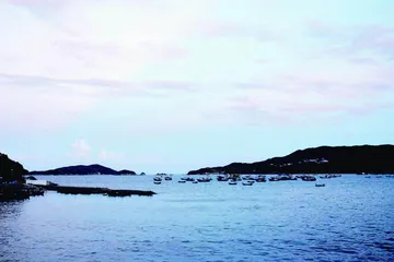 去浙南,赴一场山海之约2