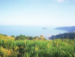 去浙南,赴一场山海之约3