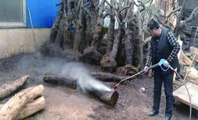 细微之处见匠心1