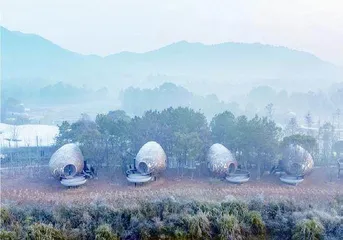 在自然中放空的避世小屋5