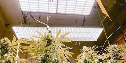 厚积薄发,成就LED植物照明新典范1