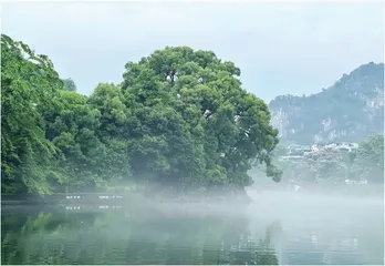 雾的自述