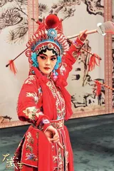 告别“杉菜”:聚光灯下的一生2