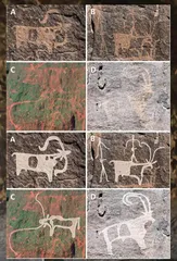 存续了7000 年的庇护所