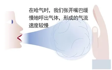 吹气为冷,哈气为热1