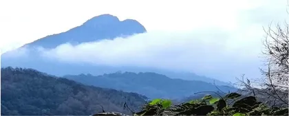 黎叔的黎人经1