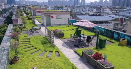 绿色屋顶6