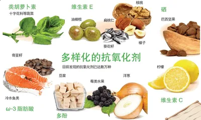 抗氧化“战争”7