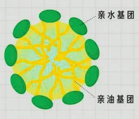 油水冤家,相逢一笑——迷人的“双亲分子”1