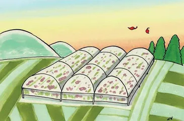 曰芳与友红
