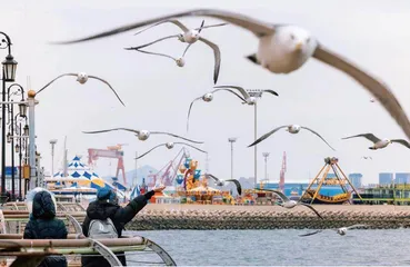 大连:山海之间4
