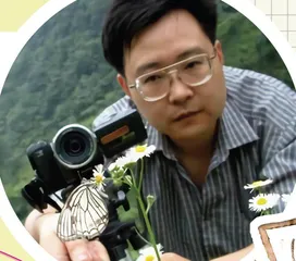 竹节虫变色的秘密