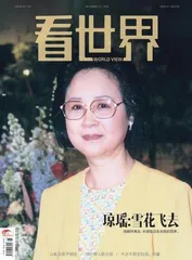 《网红拥入联合国》