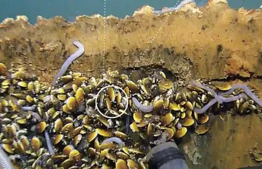 海底盐池0