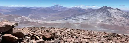 “登山英雄”：叶耳鼠2