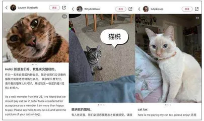 赛博破冰：美国年轻人勇闯小红书1