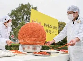“湘军”，统治零食江湖6