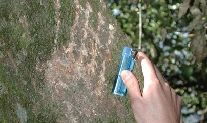 如何防范熊类伤害?7