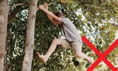 如何防范熊类伤害?11