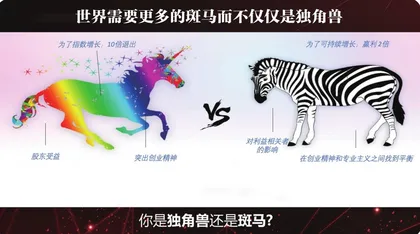 中国企业出海的终局是全球品牌4