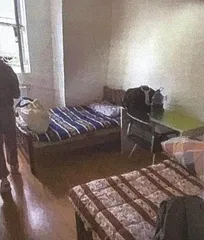 人卵待价而沽,商业代孕的潘多拉魔盒2