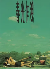 王家卫,浮生若梦1