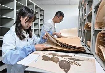 放弃考研的人,已经悄悄找到了工作1