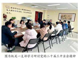河南省各级审计机关 学习贯彻党的二十届三中全会精神（六）