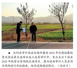 外部审计程序优化与审计效率提升