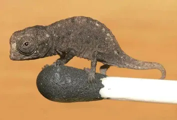 蓝宝石:火山的杰作3