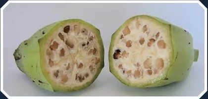能不能学原始人吃饭?4