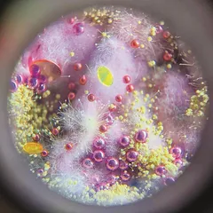 微观世界里的宇宙星河2