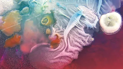 微观世界里的宇宙星河3