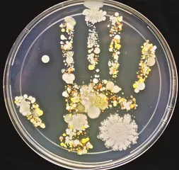 微观世界里的宇宙星河5