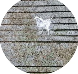 慢慢走,欣赏啊1