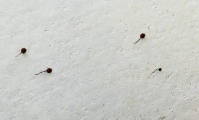 慢慢走,欣赏啊2