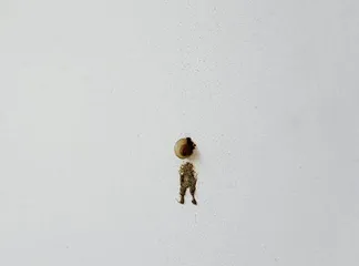 慢慢走,欣赏啊3