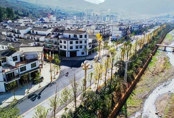 手抓蛋炒饭1
