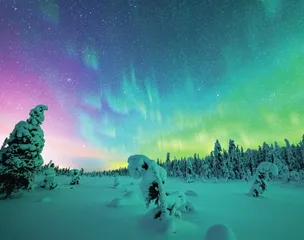 游龙织天幕:极光中的宇宙幻象4