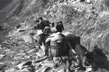 跨越山海,只为送达1