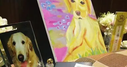 宠物殡葬师:见证人和宠物的千百种告别1