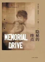 对面的小说家:纽约访谈录1