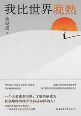 对面的小说家:纽约访谈录3