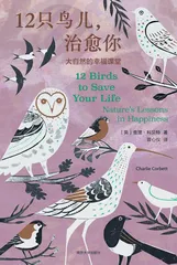 故乡那么辽阔,为何还要远行2
