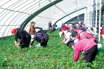 霍家营社区:助老服务,社区如何发力?