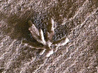 惊!北极海底竟然还有深坑,而且还在扩大加深……4