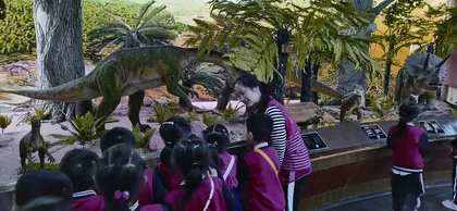 赤水桫椤自然保护区:自然之地,教育科普主平台3